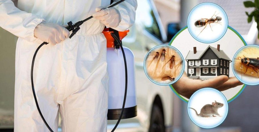 Korgan Böcek İlaçlama