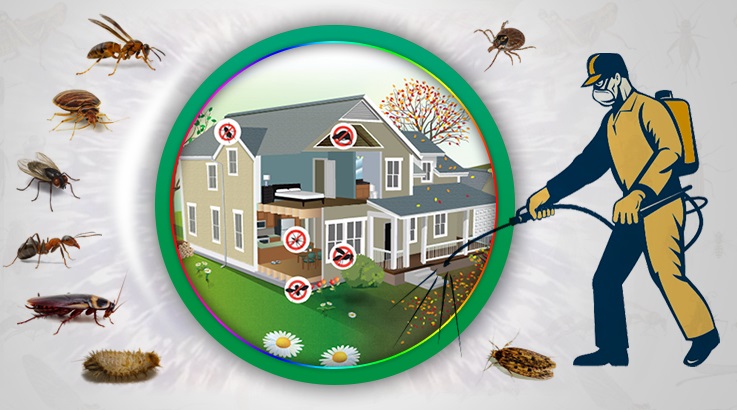 Korgan Böcek İlaçlama