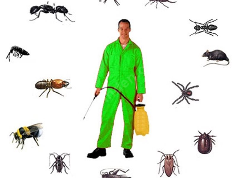 Korgan Böcek İlaçlama